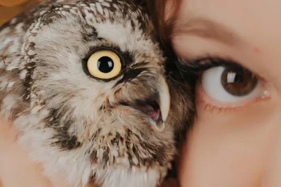 Casino Lucky 31 Tugi